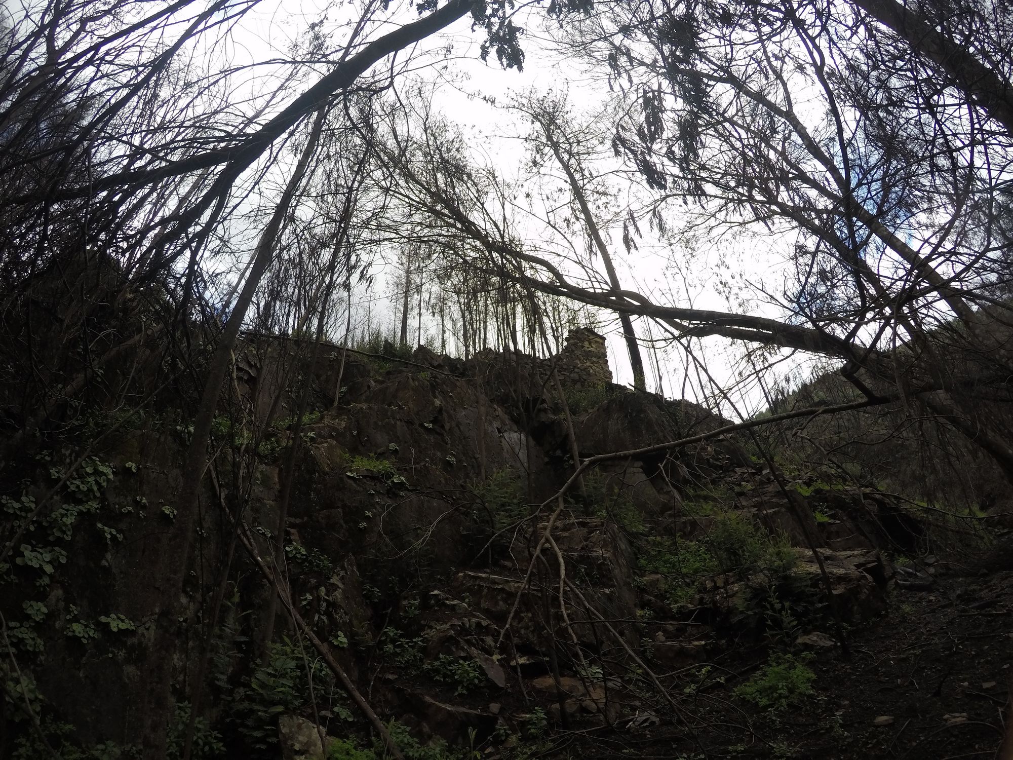 Ruine 1_Blick vom Westen
